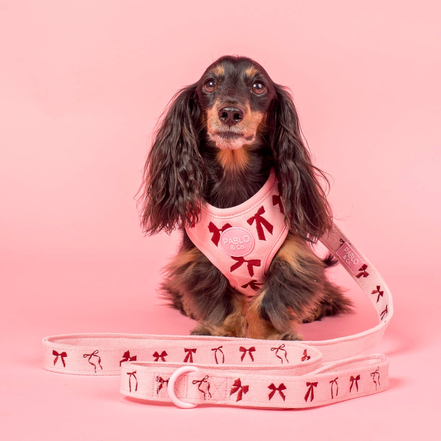 Velvet Blush Bows: Dog Leash
