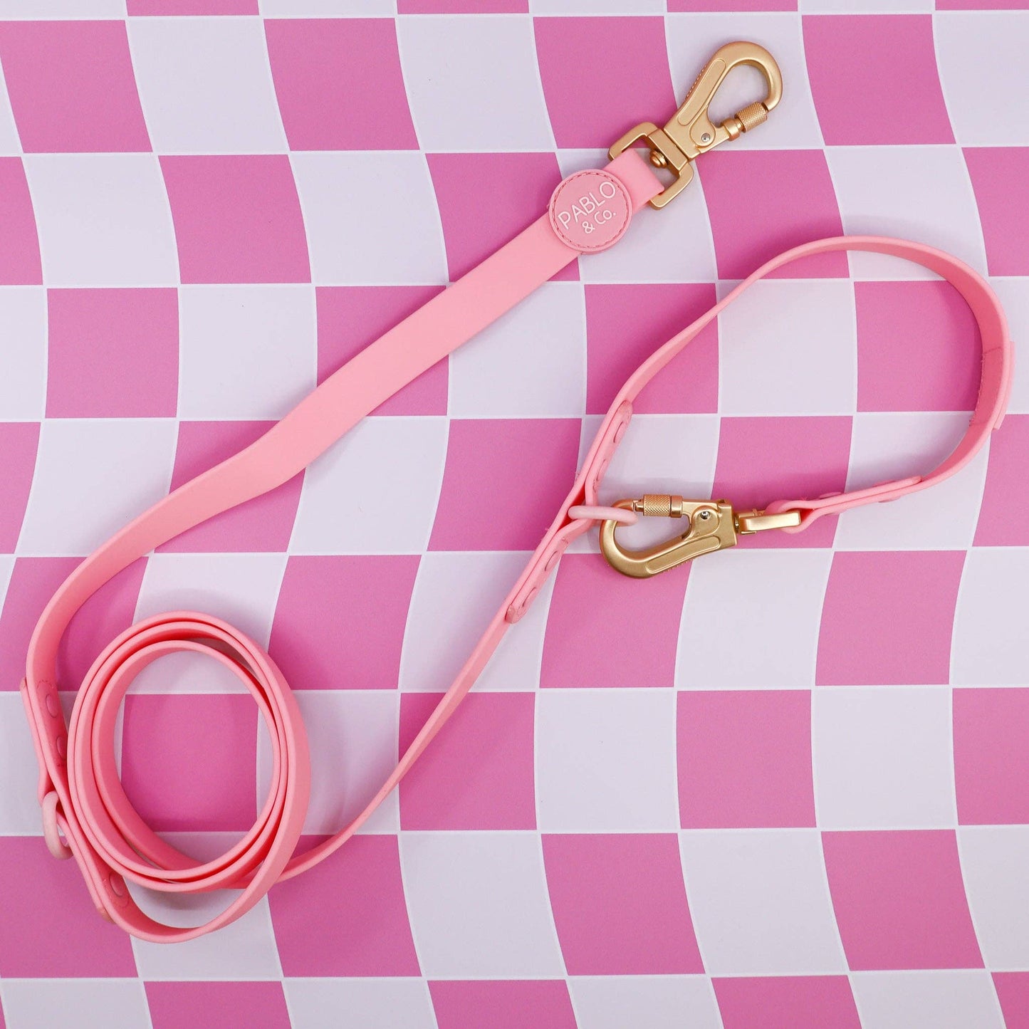 Bubblegum: Multi-Functional Waterproof Leash