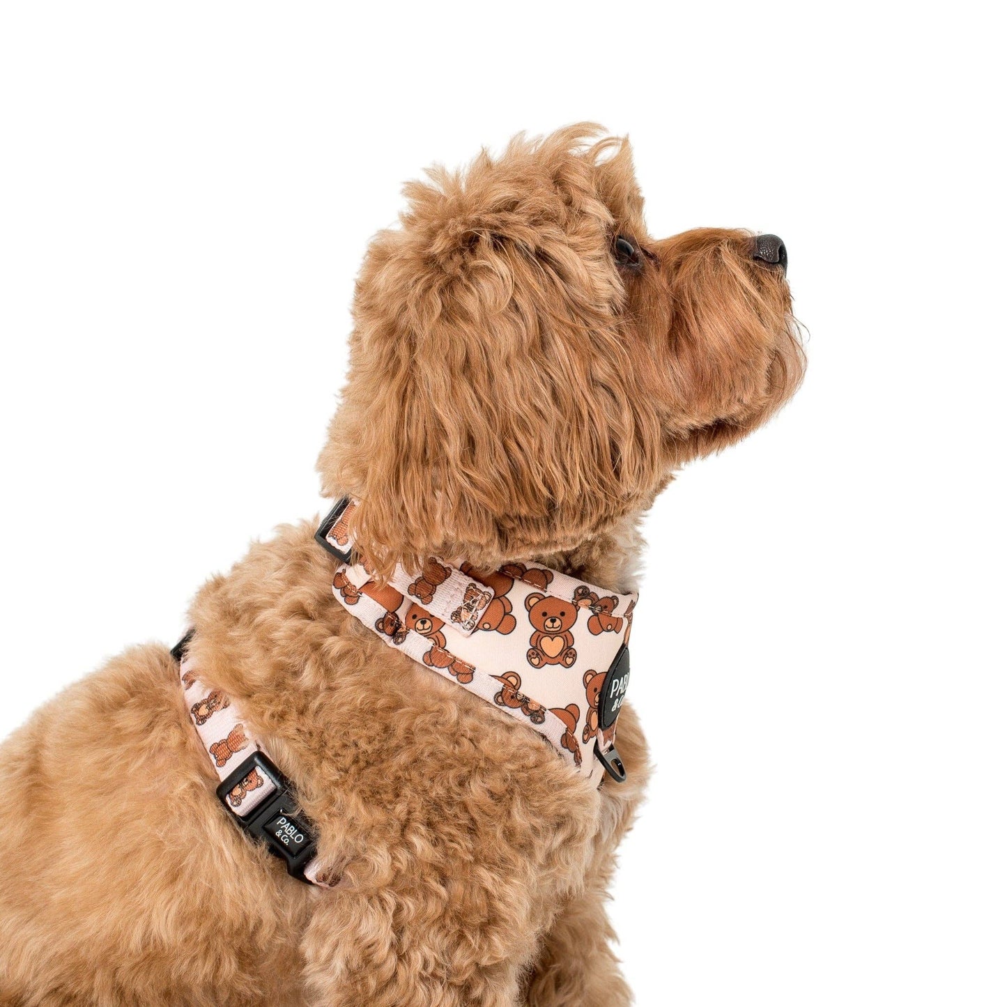 Teddy Bears Picnic: ADJUSTABLE DOG HARNESS