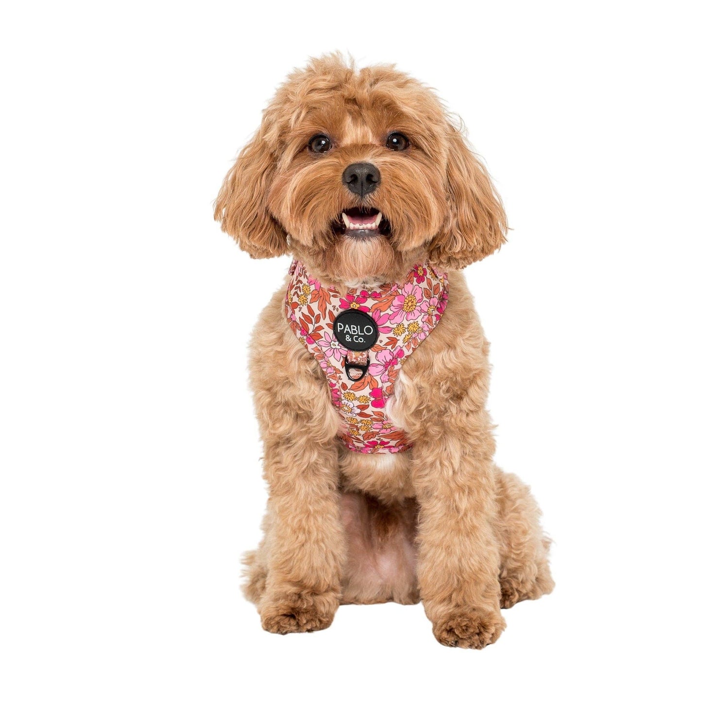 Pink Posies: ADJUSTABLE DOG HARNESS