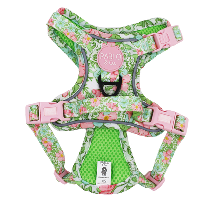 Flora & Fern: No Pull Dog Adventure Harness