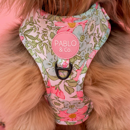 Flora & Fern: Adjustable Dog Harness