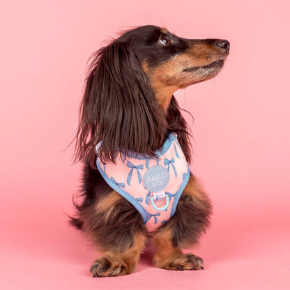 Baby Blue Bows: Adjustable Dog Harness