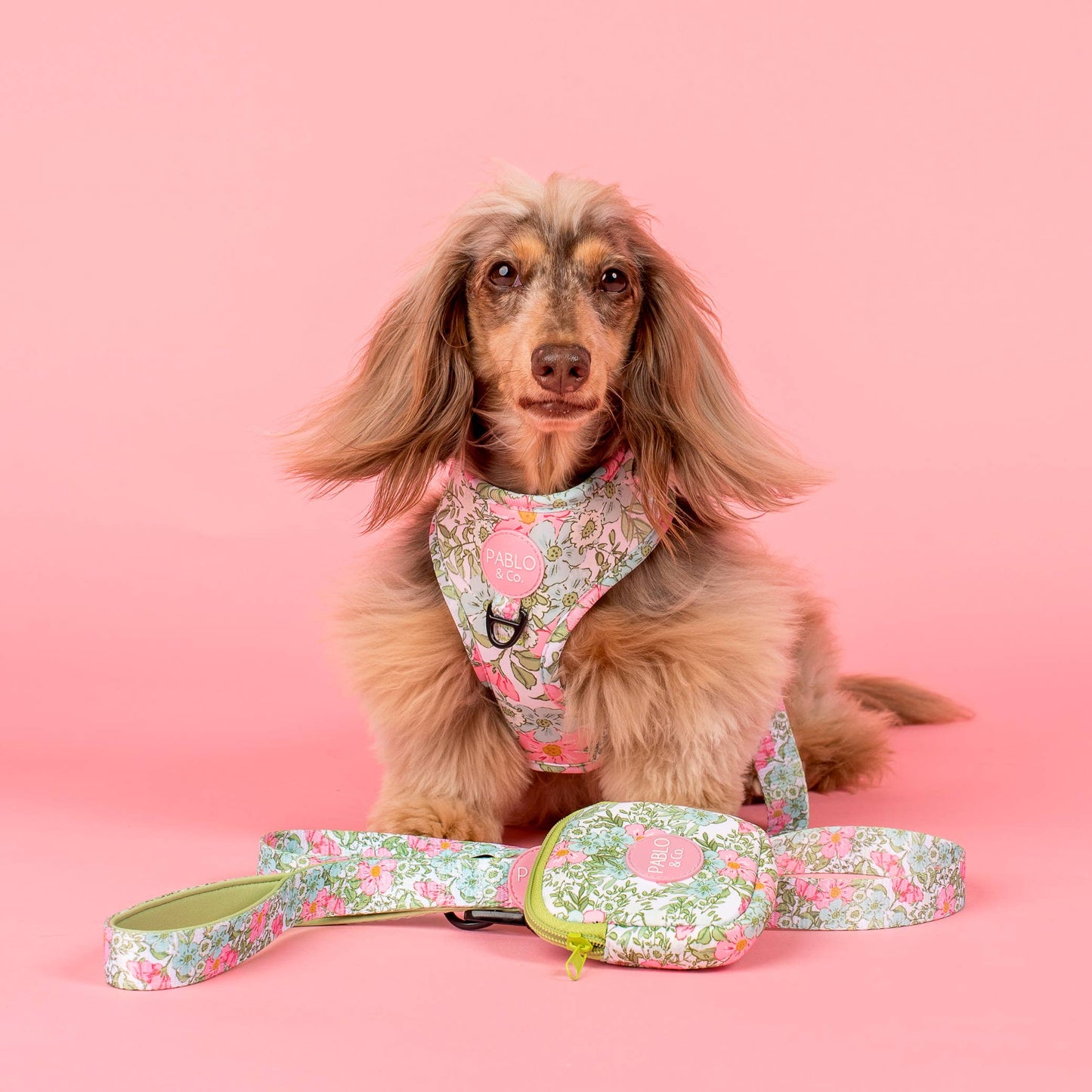 Flora & Fern: Adjustable Dog Harness