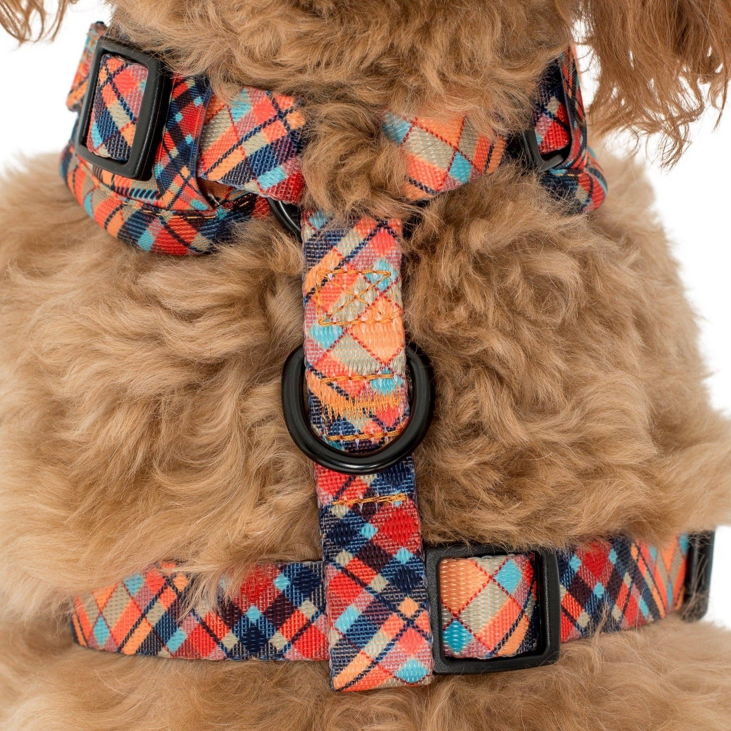 Tartan: ADJUSTABLE DOG HARNESS