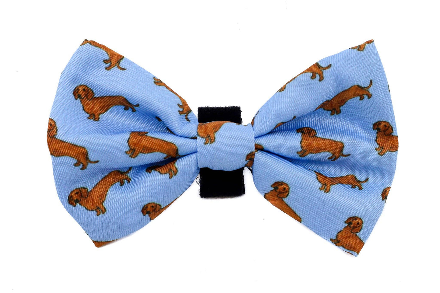 Dachshund: Dog Bow Tie