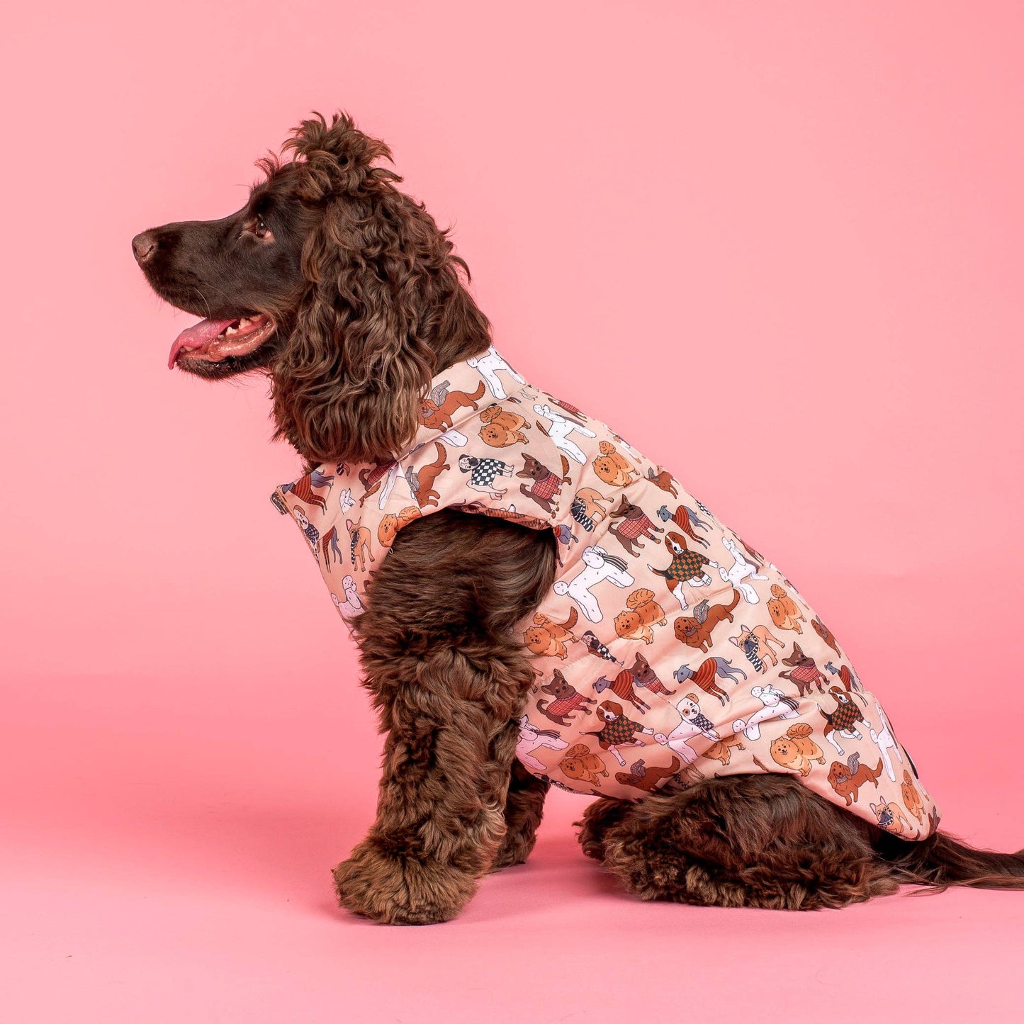 Winter Pooches / Kensington: Puffer Vest