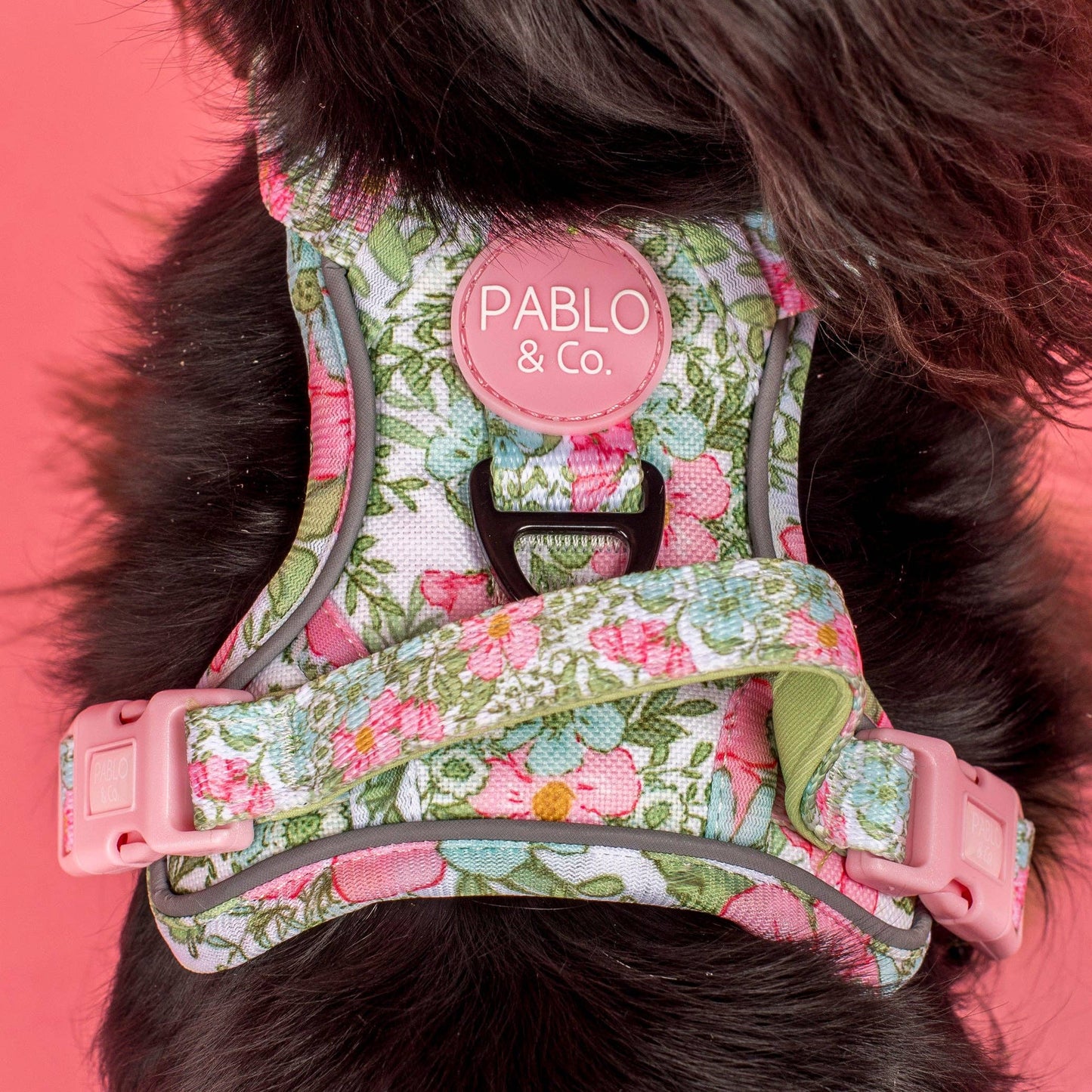 Flora & Fern: No Pull Dog Adventure Harness