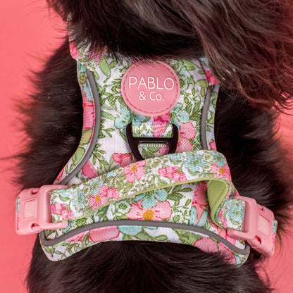 Flora & Fern: No Pull Dog Adventure Harness