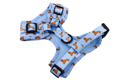 Dachshund: Adjustable Dog Harness