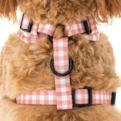 Chocolate Gingham: ADJUSTABLE DOG HARNESS