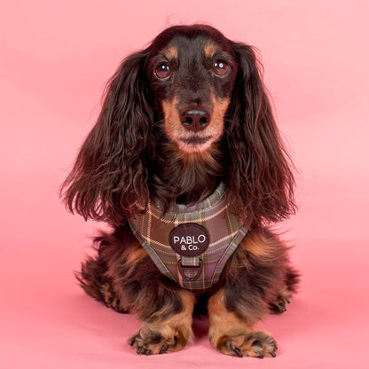 Green Plaid: Adjustable Harness