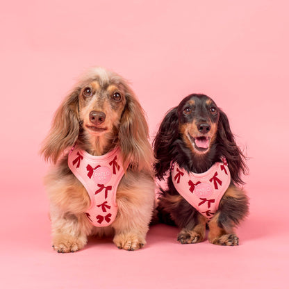 Velvet Blush Bows: Adjustable Dog Harness