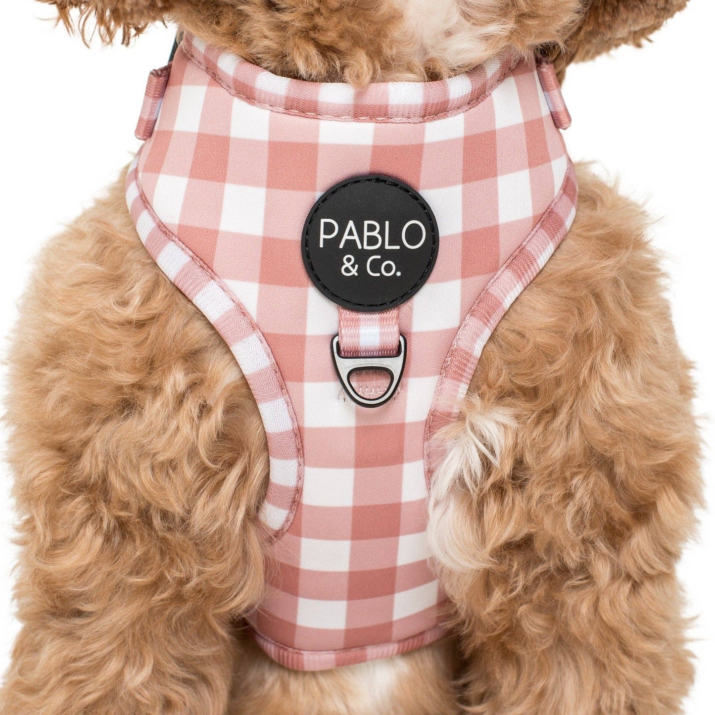 Chocolate Gingham: ADJUSTABLE DOG HARNESS