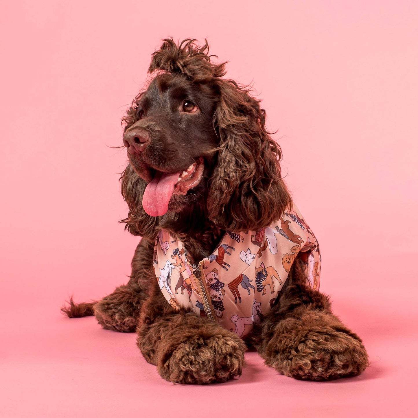 Winter Pooches / Kensington: Puffer Vest