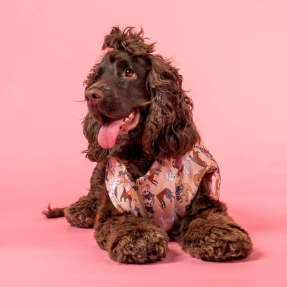 Winter Pooches / Kensington: Puffer Vest