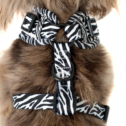 Black & White Zebra: ADJUSTABLE DOG HARNESS