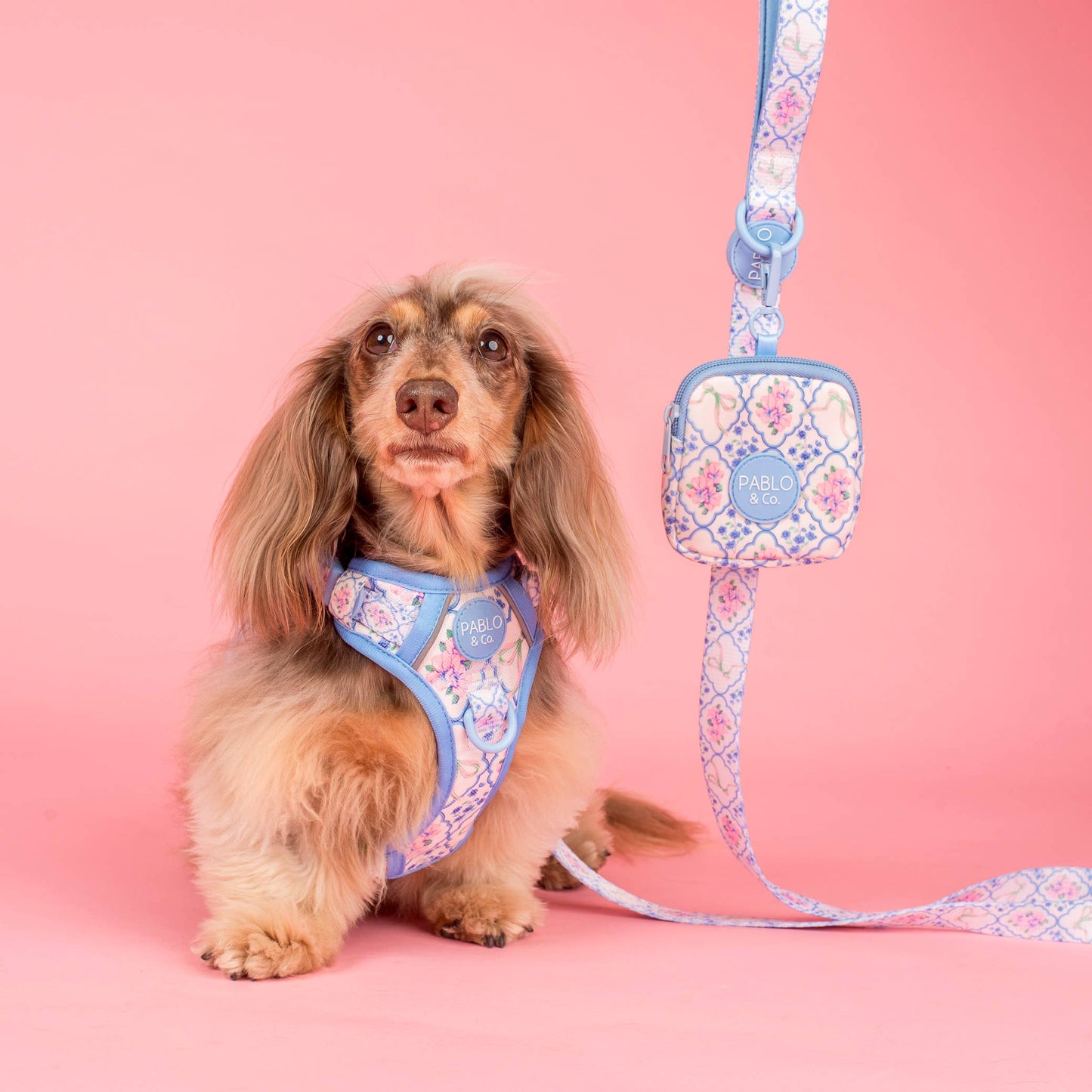 Petal: Dog Leash