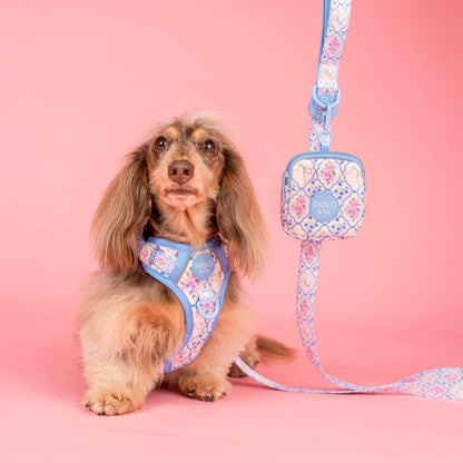 Petal: Dog Leash