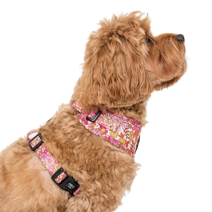 Pink Posies: ADJUSTABLE DOG HARNESS