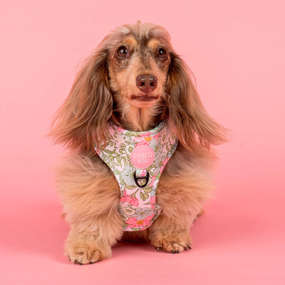 Flora & Fern: Adjustable Dog Harness