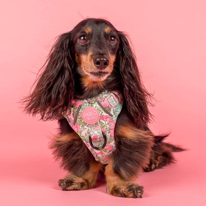 Flora & Fern: No Pull Dog Adventure Harness