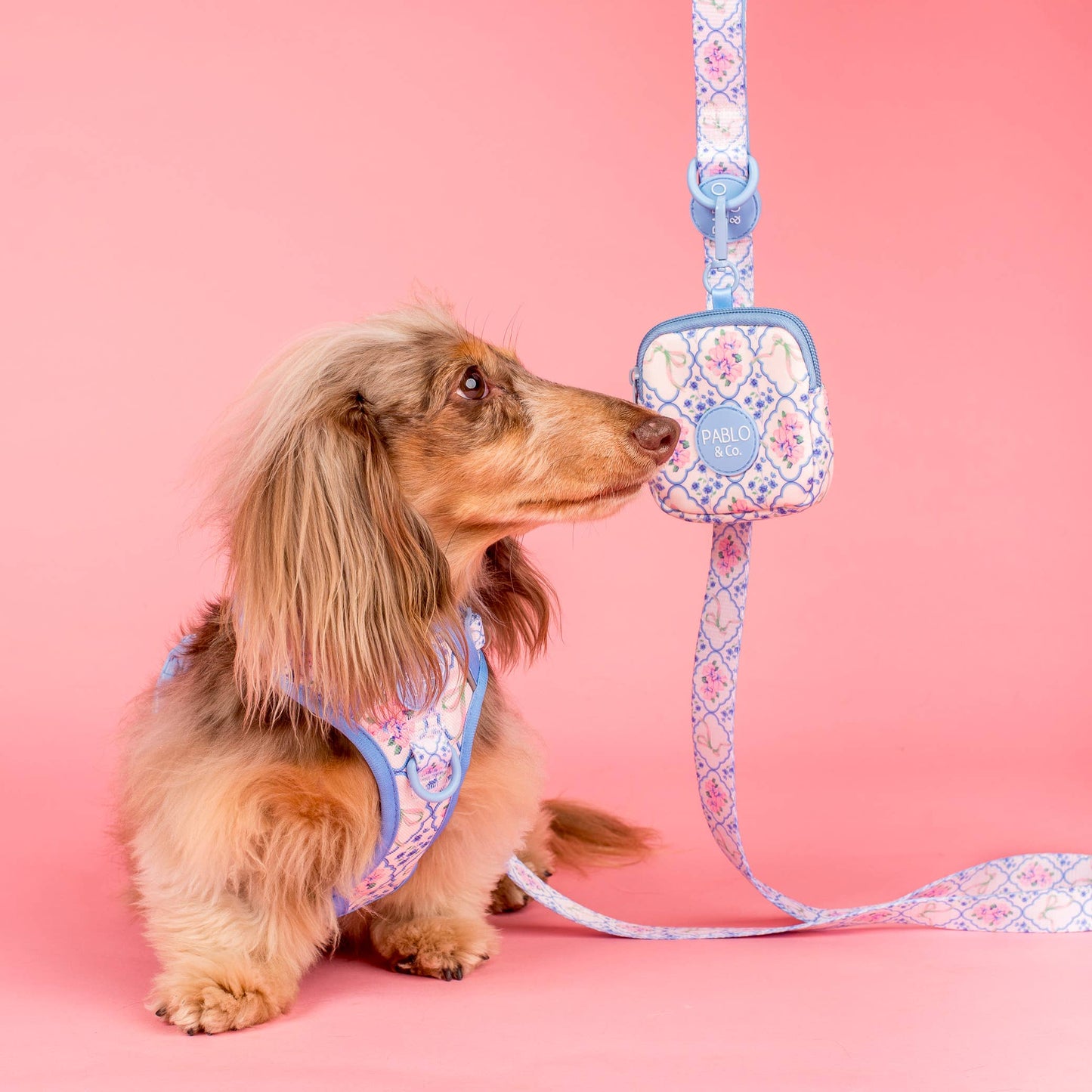 Petal: Dog Leash