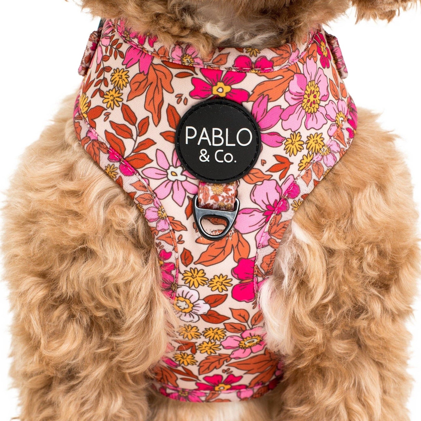 Pink Posies: ADJUSTABLE DOG HARNESS