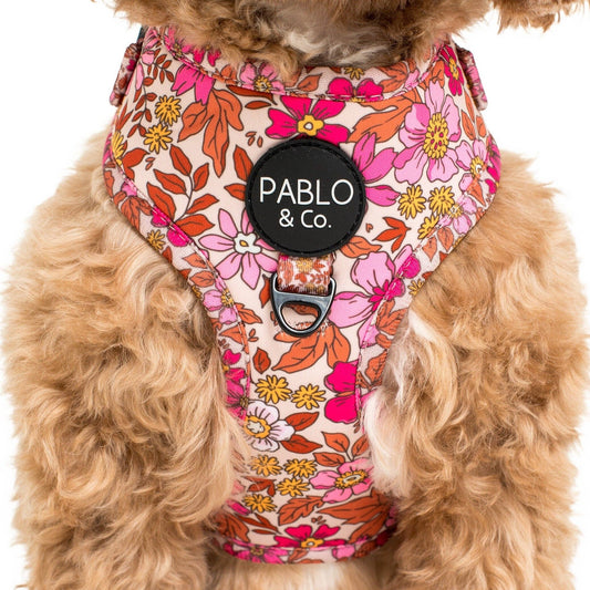 Pink Posies: ADJUSTABLE DOG HARNESS