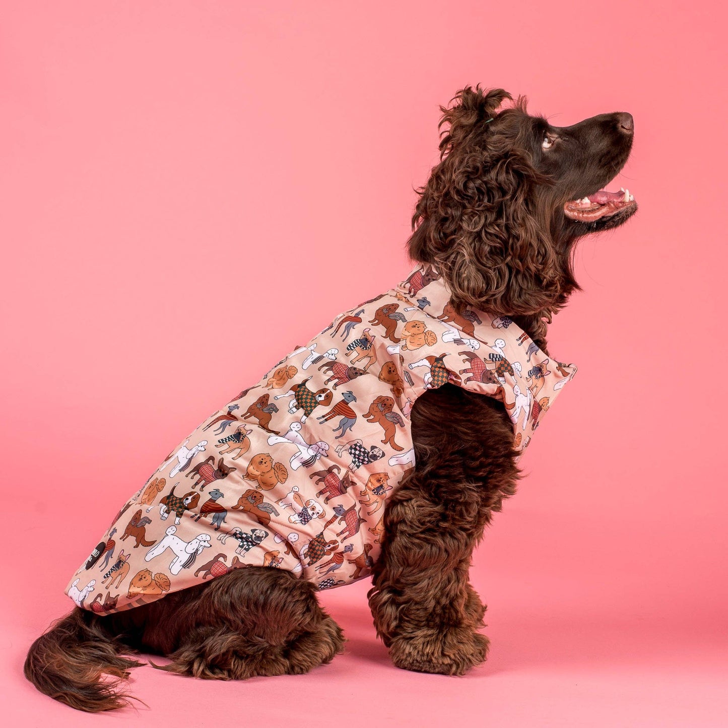 Winter Pooches / Kensington: Puffer Vest
