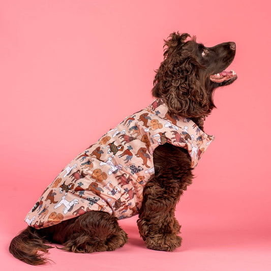 Winter Pooches / Kensington: Puffer Vest
