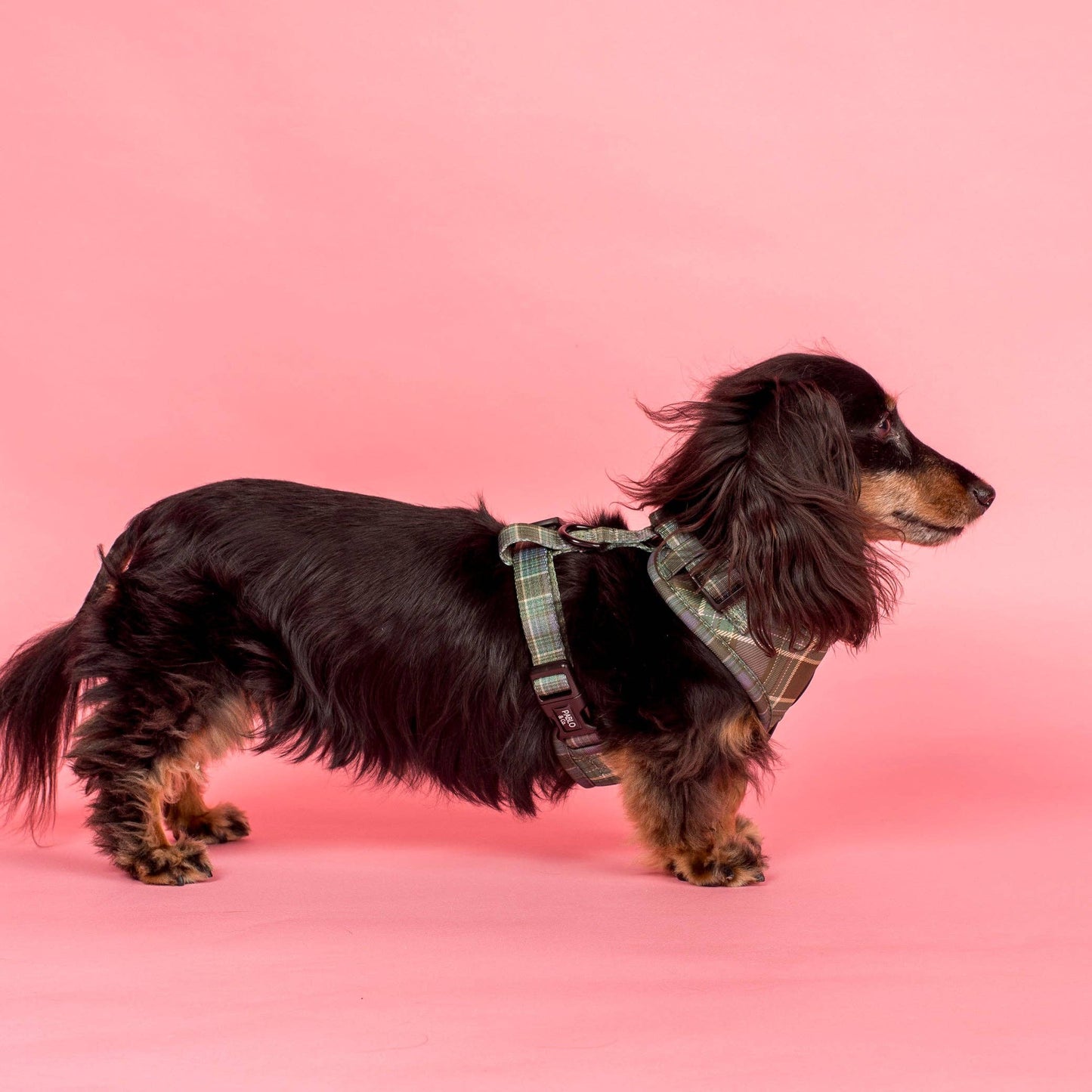 Green Plaid: Adjustable Harness
