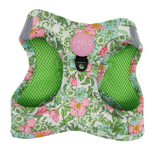 Flora & Fern: Step In Cat Harness