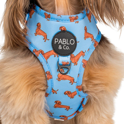 Dachshund: Adjustable Dog Harness