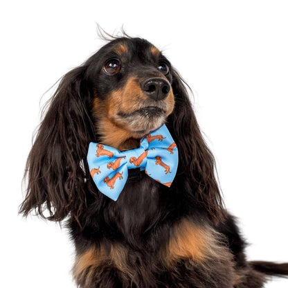 Dachshund: Dog Bow Tie