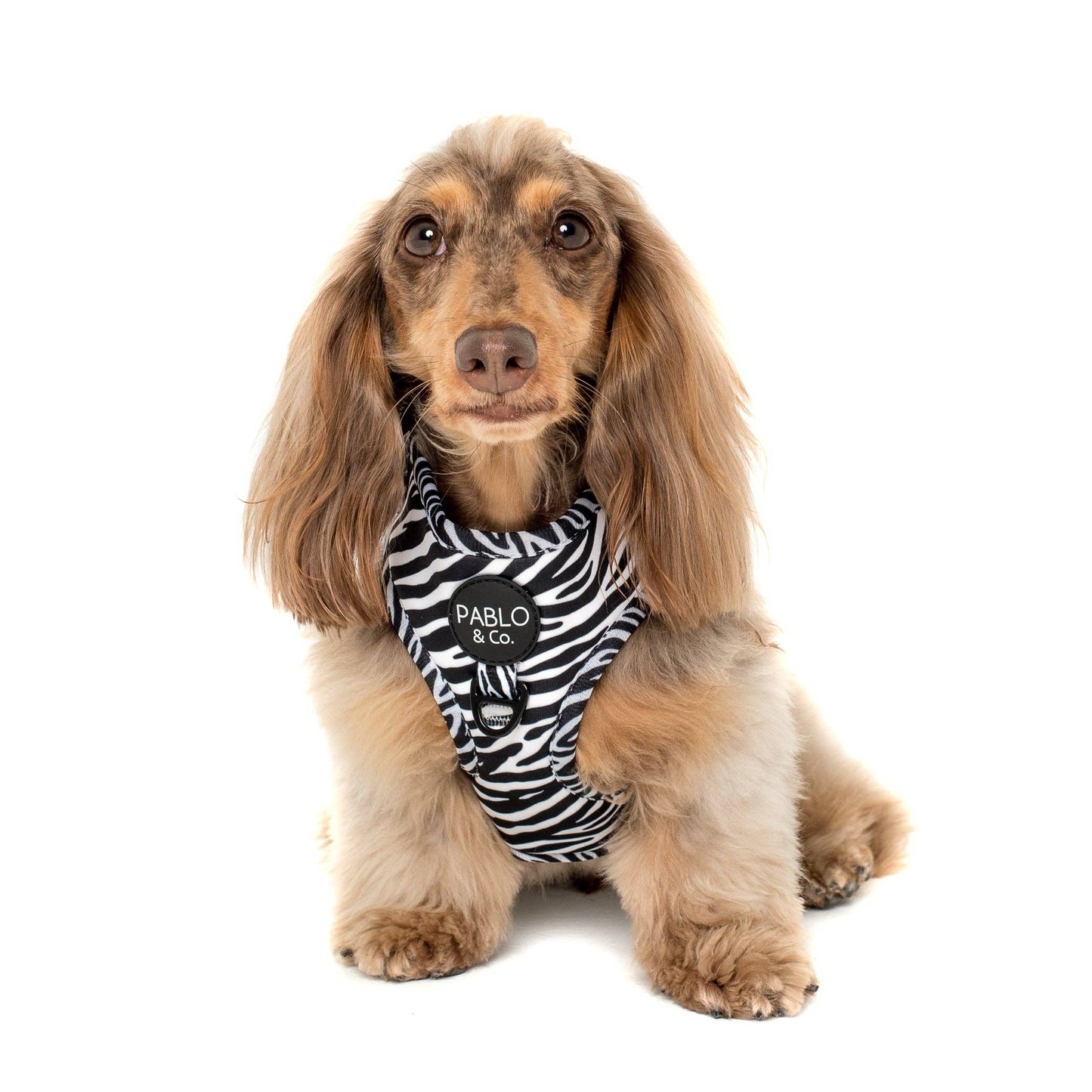 Black & White Zebra: ADJUSTABLE DOG HARNESS