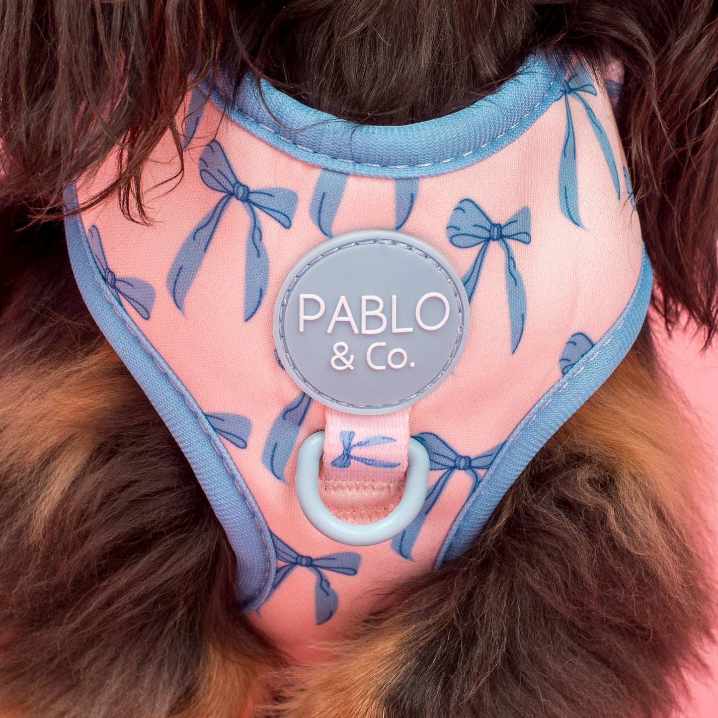 Baby Blue Bows: Adjustable Dog Harness