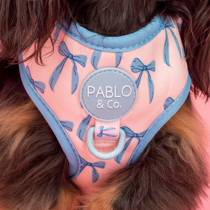 Baby Blue Bows: Adjustable Dog Harness
