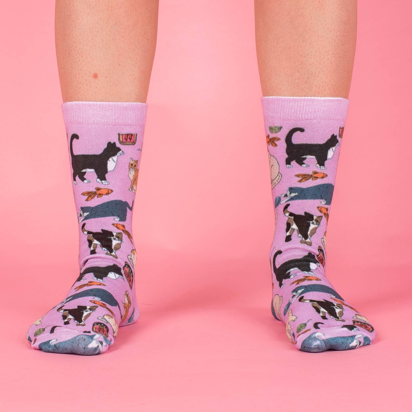 Meow Socks