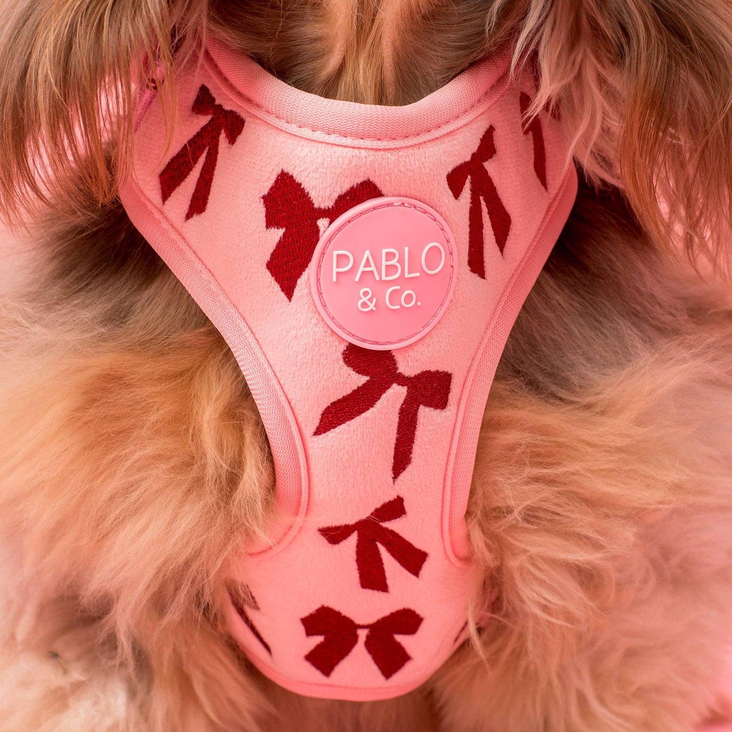 Velvet Blush Bows: Adjustable Dog Harness