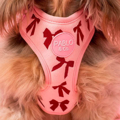 Velvet Blush Bows: Adjustable Dog Harness