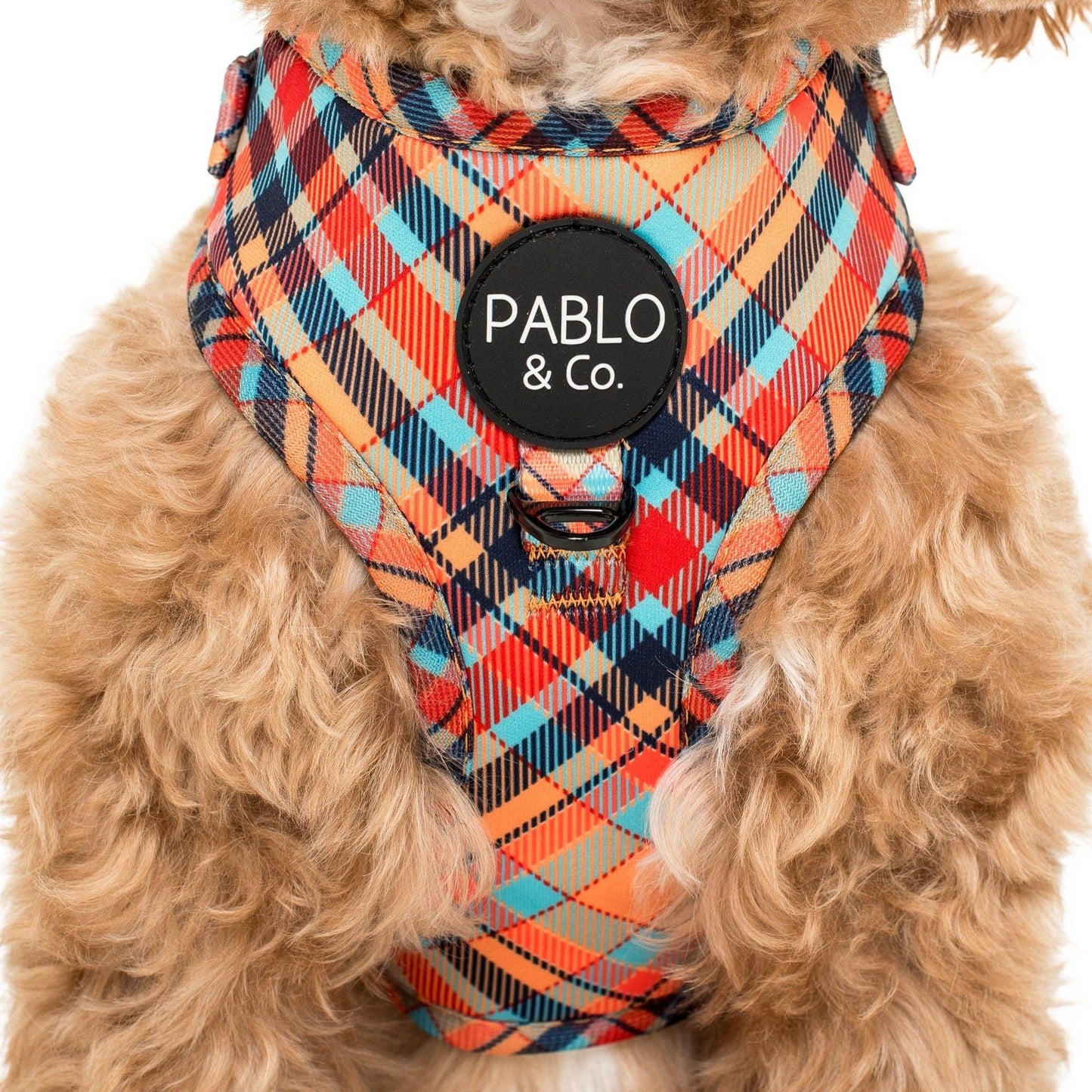 Tartan: ADJUSTABLE DOG HARNESS