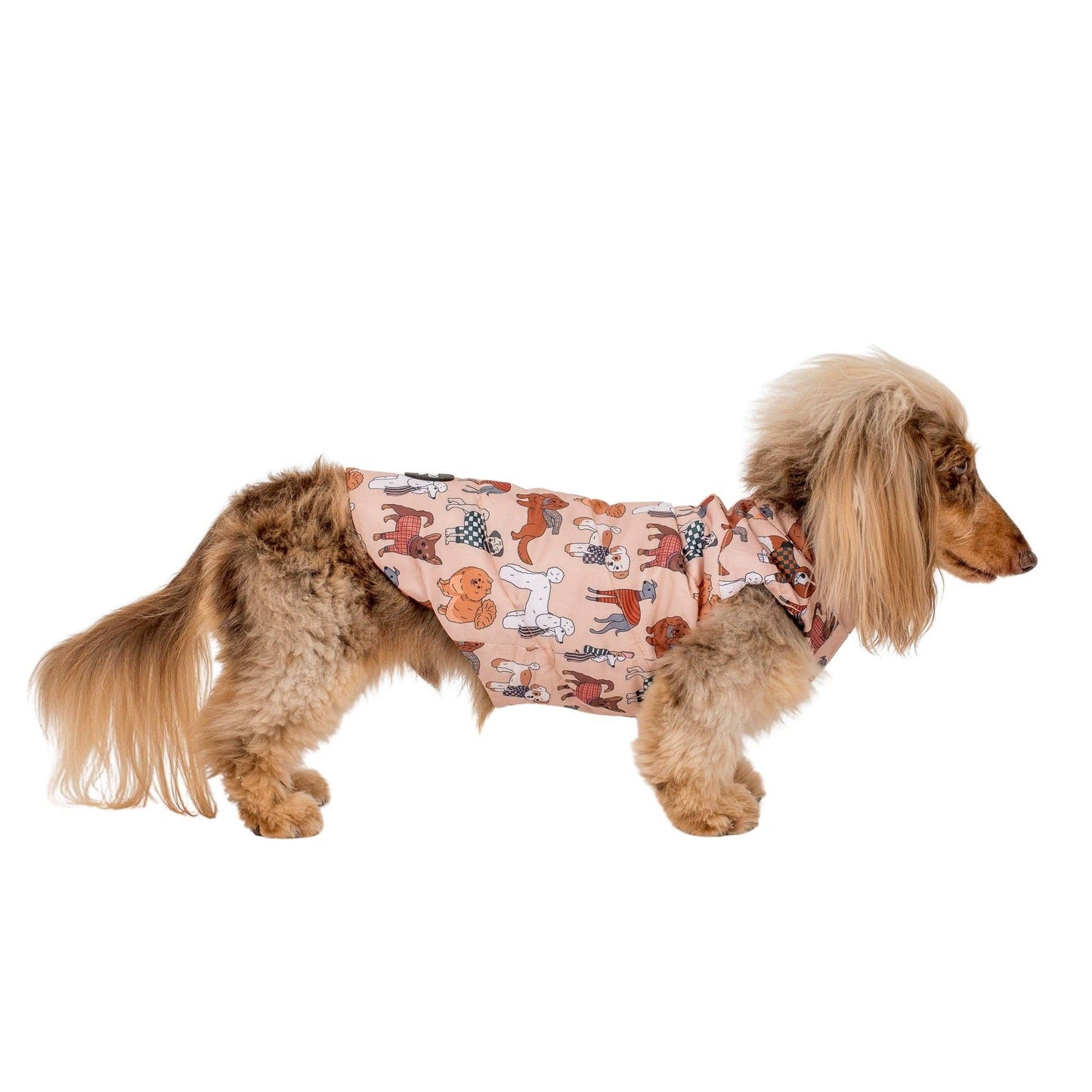 Winter Pooches / Kensington: Puffer Vest