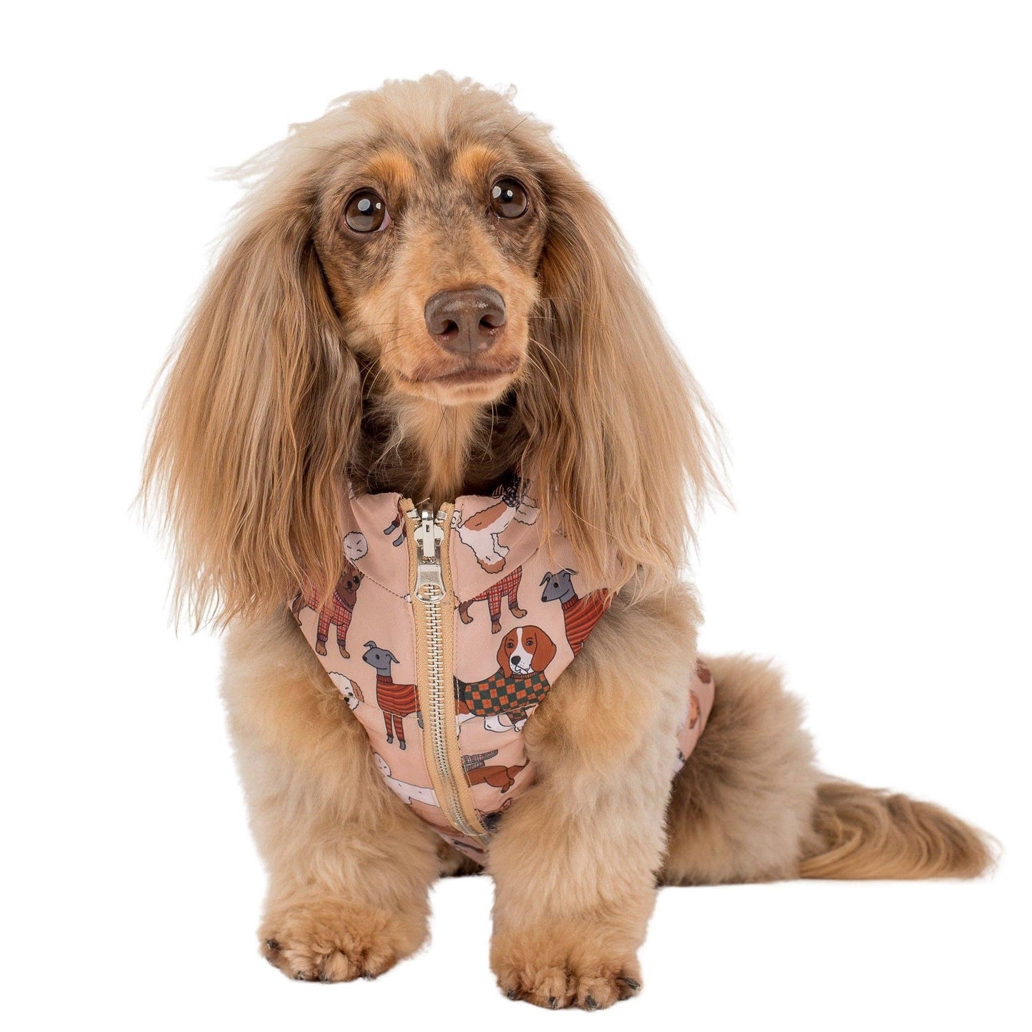Winter Pooches / Kensington: Puffer Vest