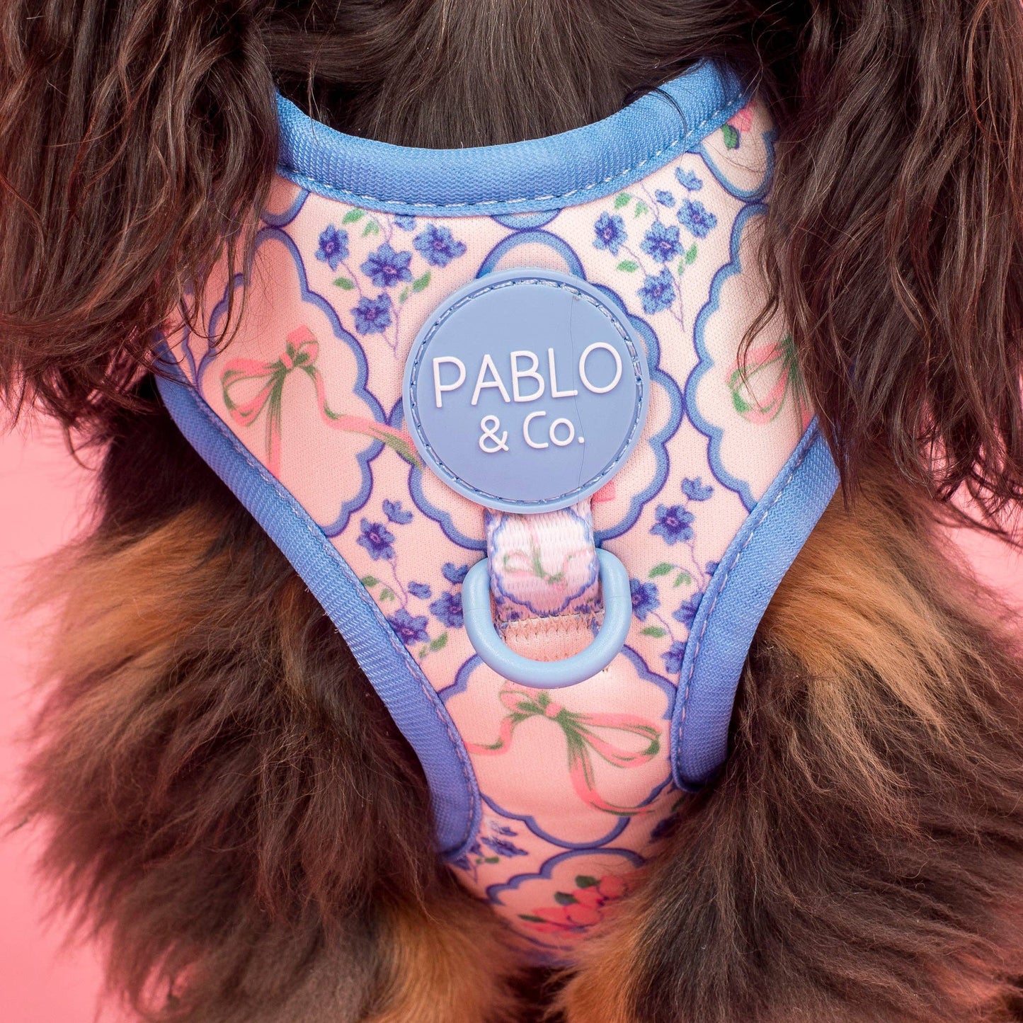 Petal: Adjustable Harness