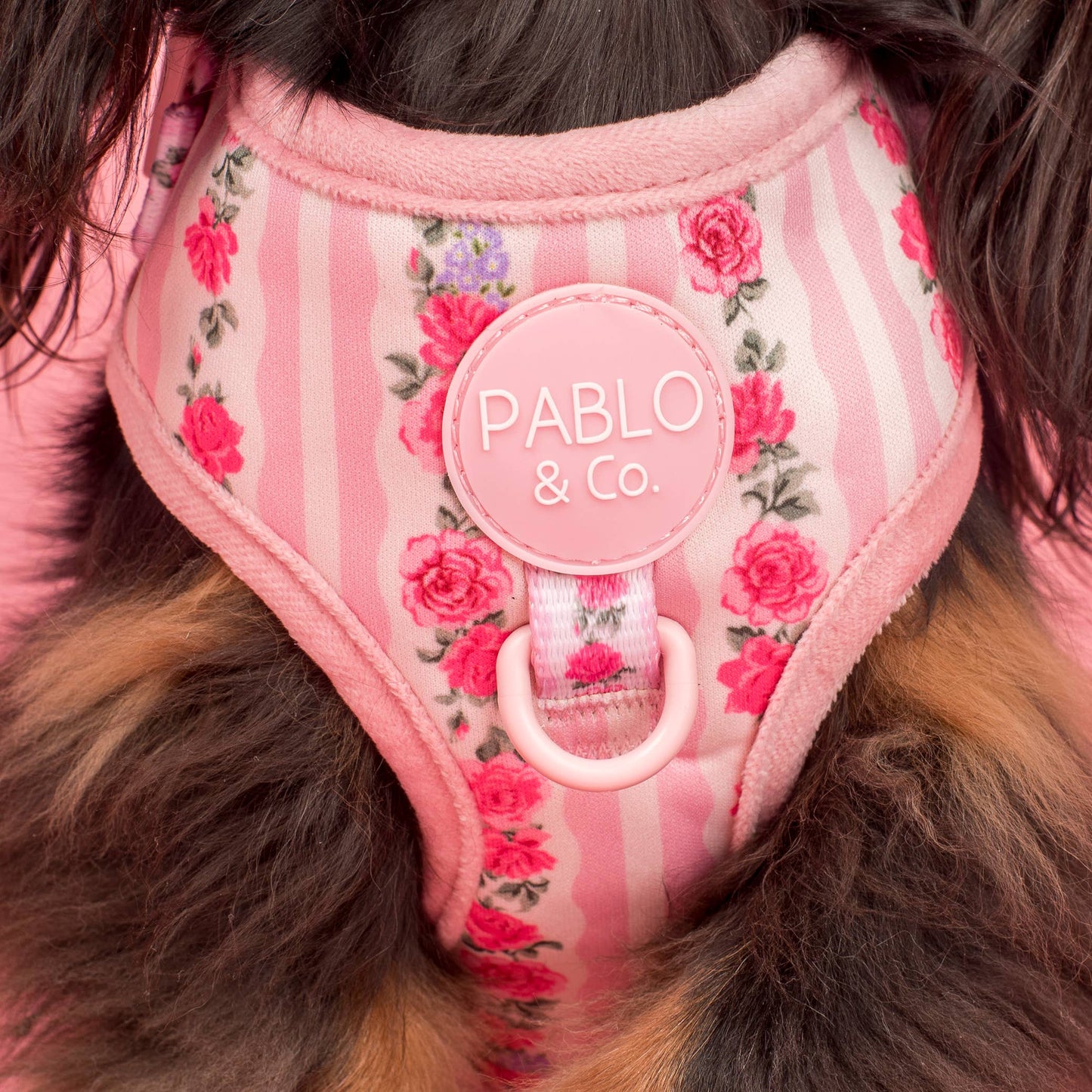 Vintage Rose: Adjustable Harness