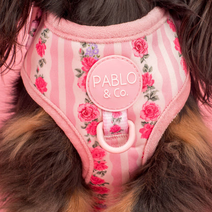 Vintage Rose: Adjustable Harness