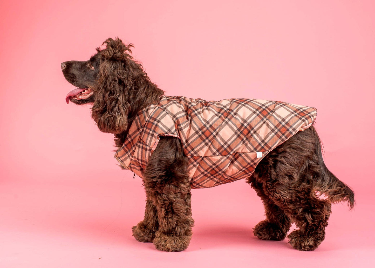 Winter Pooches / Kensington: Puffer Vest