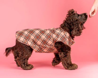 Winter Pooches / Kensington: Puffer Vest
