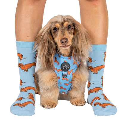 Dachshund: Adjustable Dog Harness